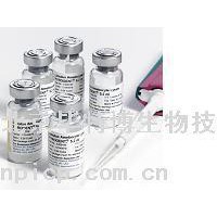 鱟試劑 內(nèi)毒素檢測試劑盒 LAL試劑盒 凝膠法鱟試劑