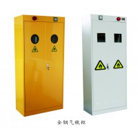 供應全鋼氣瓶柜 鄭州氣瓶柜廠家 支持定制